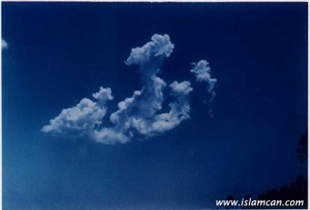 MIRACLES  D ALLAH 3